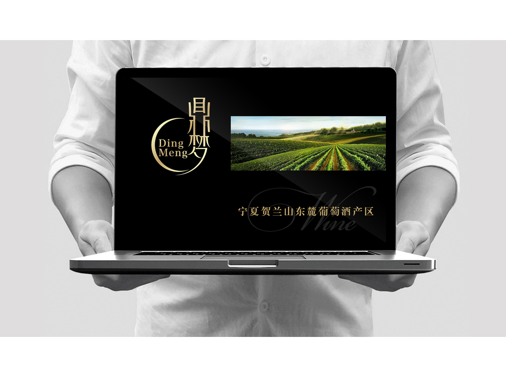 鼎梦 红酒logo 包装设计