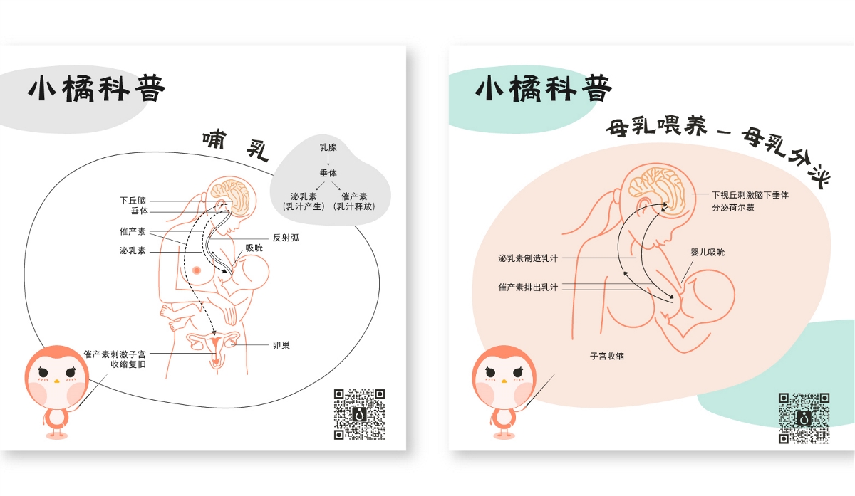 橘西产后康复品牌视觉